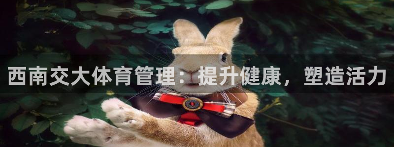 必一体育登入