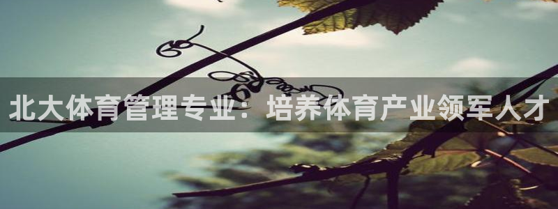 必一体育下载app下