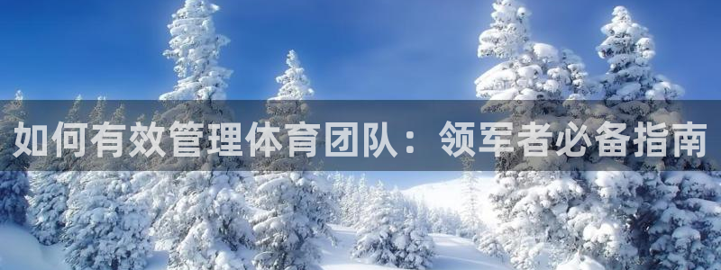 必一体育黑钱