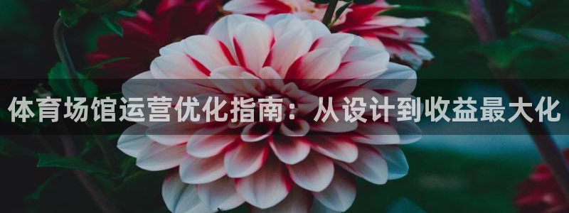 必一运动tieba.baidu.com