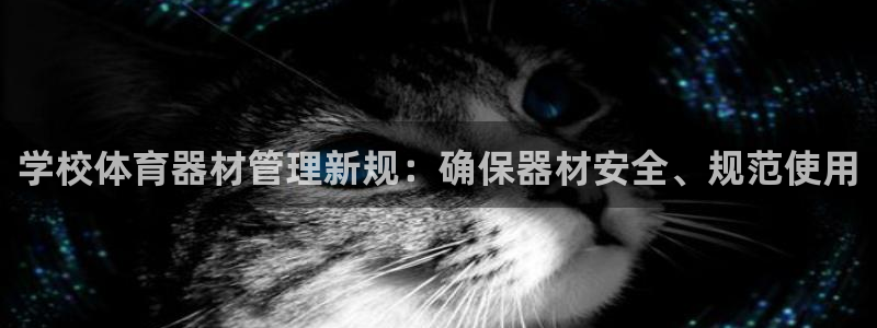 必一运动官网入口：学