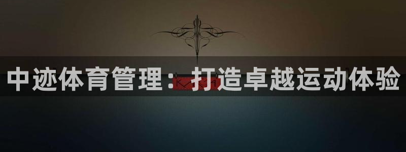 必一体育app下载装机吧