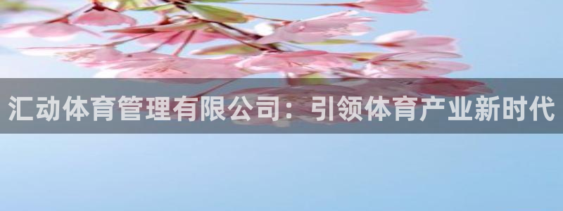 必一体育合法吗：汇动