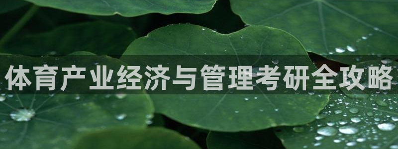 Bsport体育必一