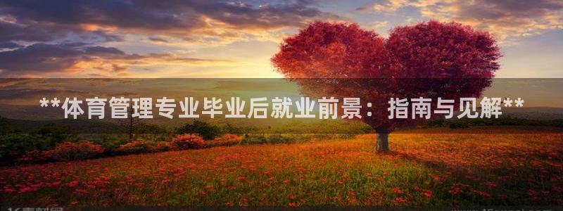 必一体育网页登录版官