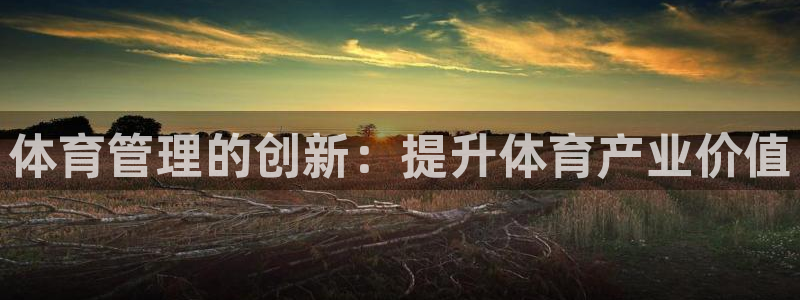 b体育必一运动网页版