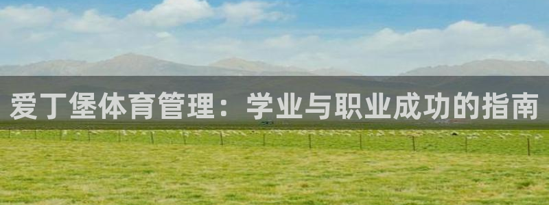 必一体育官网app