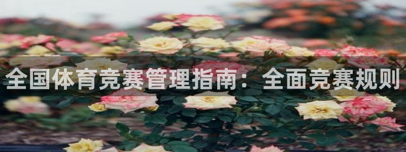 必一体育运动下载：全
