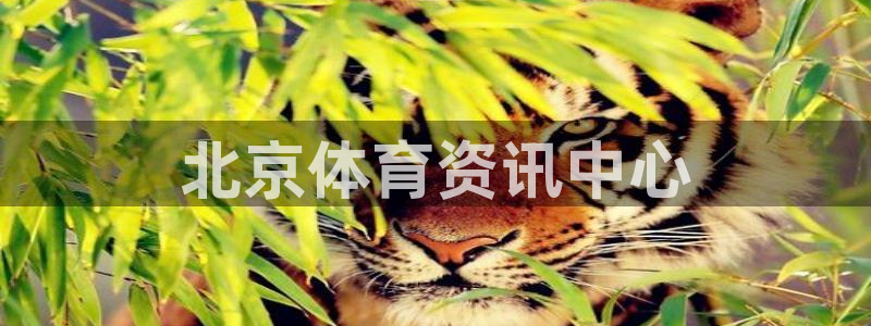 必一体育app官方正版下载