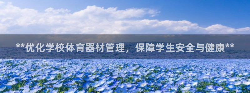 必一体育游戏玩法：*