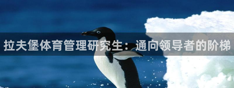 必一体育在线玩：拉夫