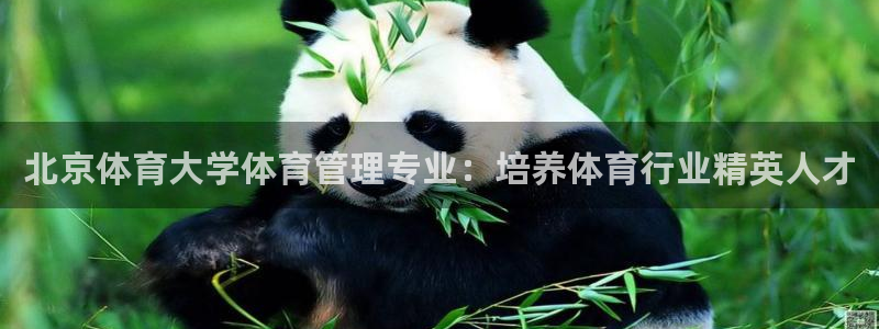 必一运动听的歌：北京