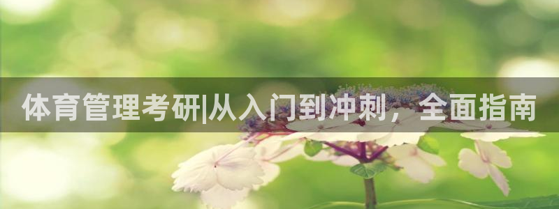 必一体育没了