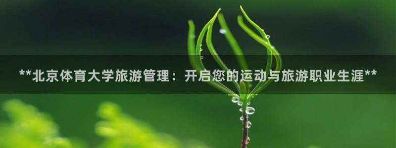 必一体育最新官网入口