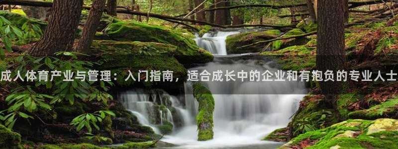 必一体育下载义：成人