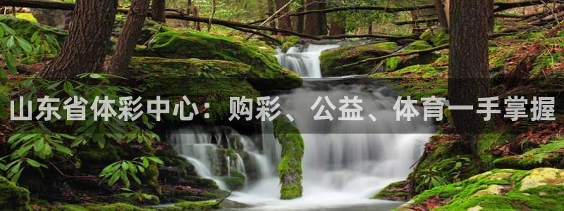 必一体育是啥