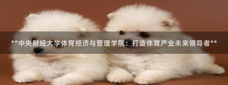 必一体育app官方正