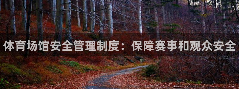 必一体育网页登陆：体