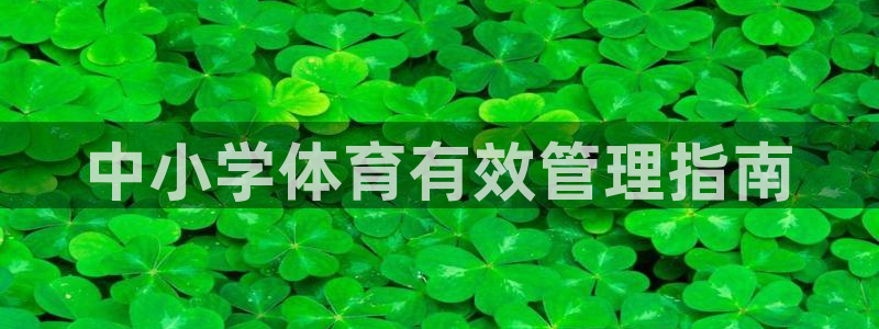 必一体育秀给网