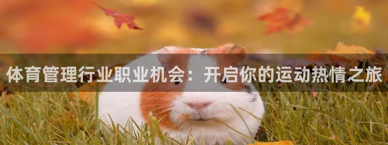 必一体育app下载最