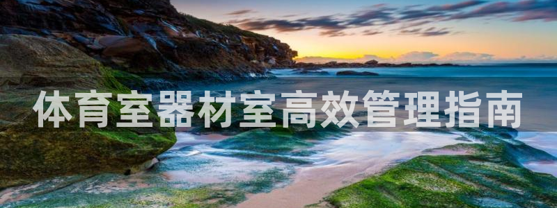 必一体育bsport
