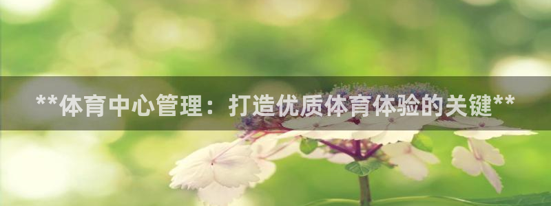 必一体育bsport