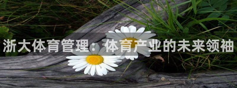 必一体育app下载：