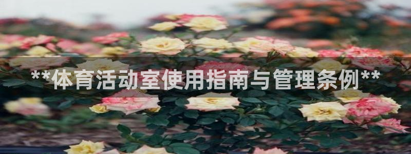 必一体育下载一样吗：