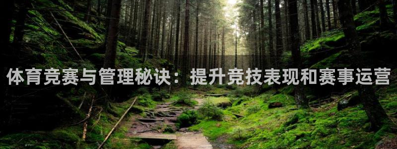 必一运动 b 体育素描版