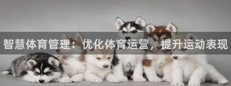 必一体育app官方下