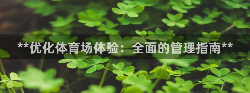 必一体育游戏特色：*