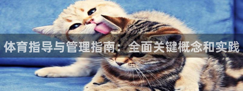 必一运动·(b-sp