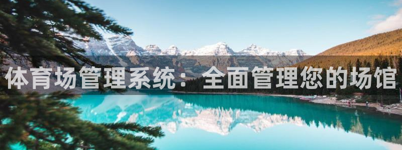 必一体育手机下载：体