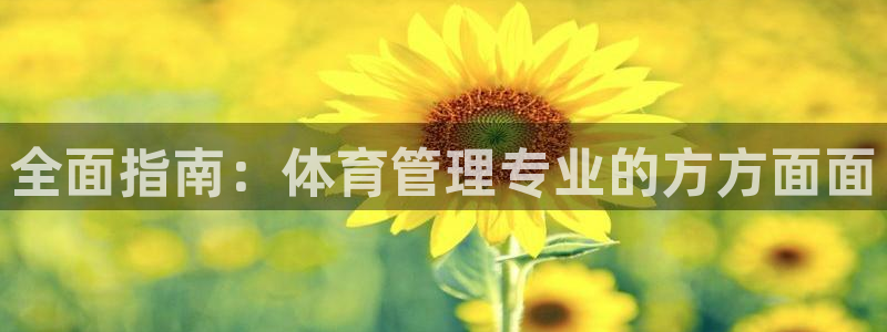 必一体育游戏特色：全