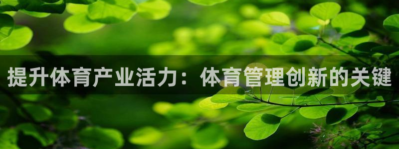 必一体育是啥