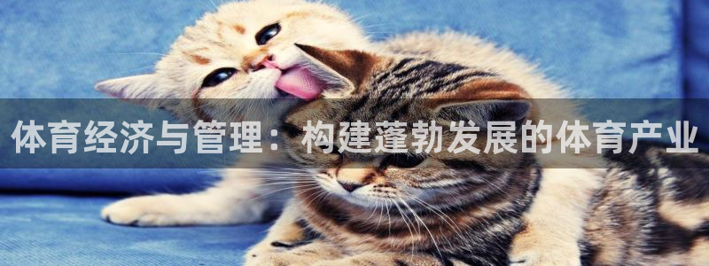 必一体育全站在线登录