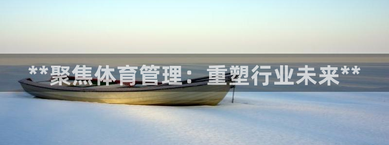 Bsport体育app必一