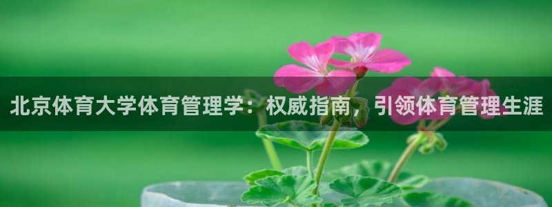 必一体育下载移动版