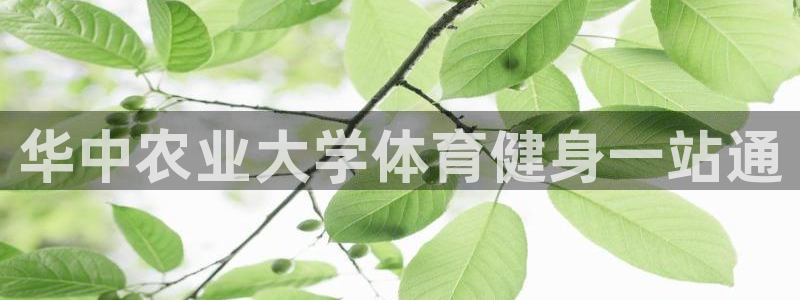 必一体育网页登陆：华