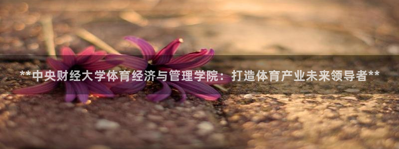 必一运动体育app：