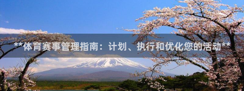 必一体育黑平台