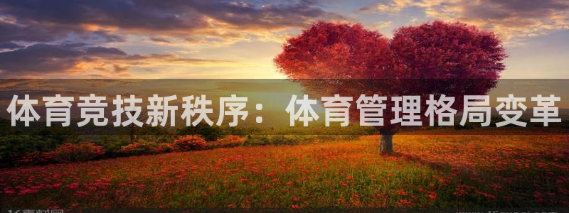 必一体育下载app
