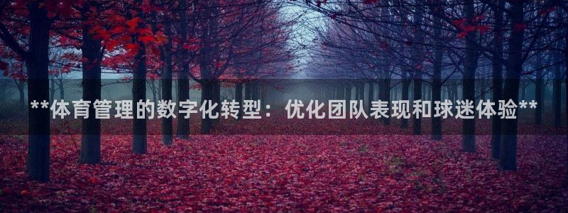 必一体育app官方网