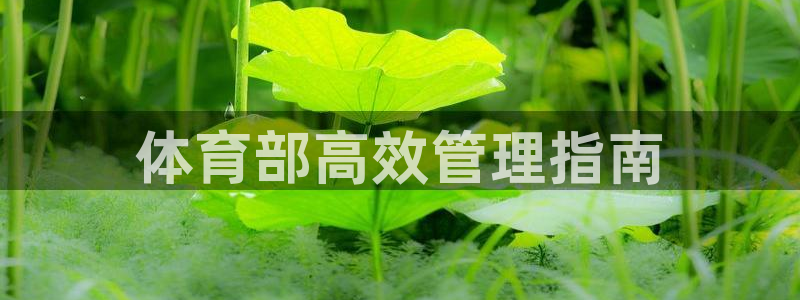 必一运动B-Sport官方网站入口
