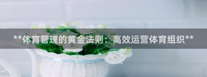 必一体育sport：