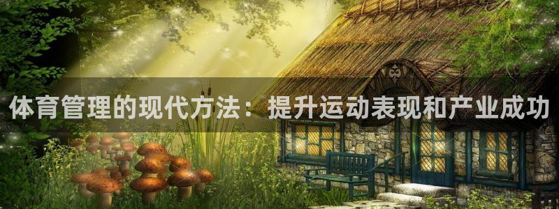 必一体育没了