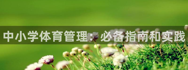 必一体育可靠吗