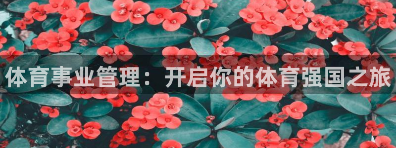 必一体育下载意思