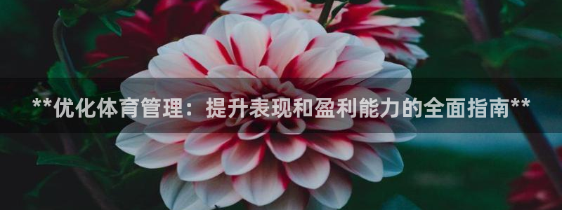 b体育必一下载：**