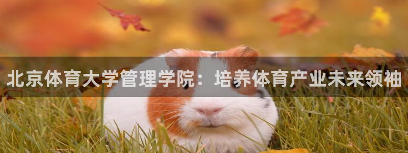 必一体育合法吗：北京